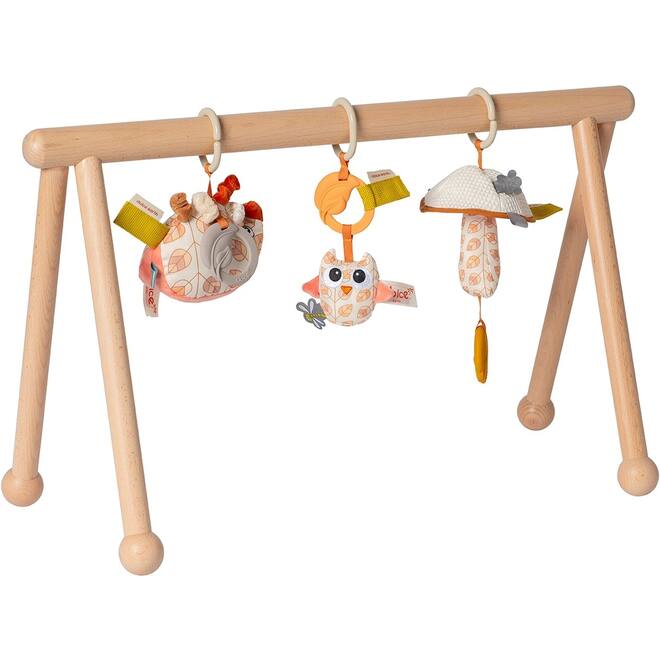 Babygym Earth