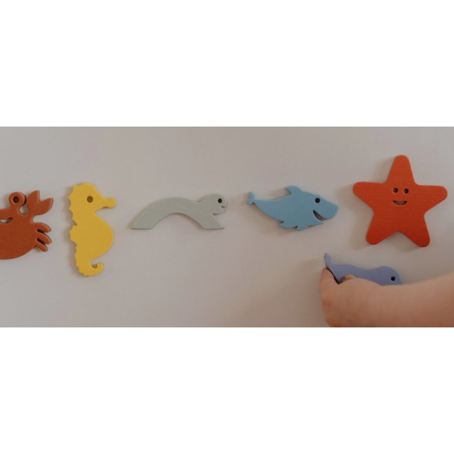 Magnetic Sea Life Animals