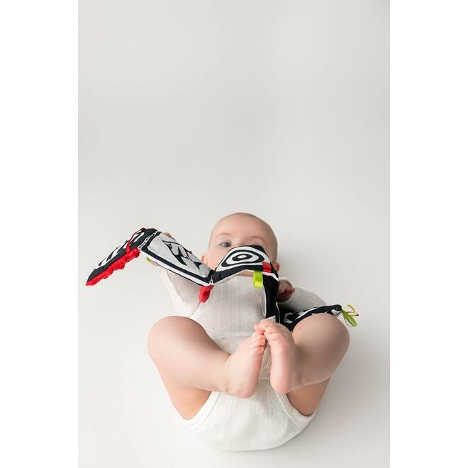 Soft baby toys - Soft book Red