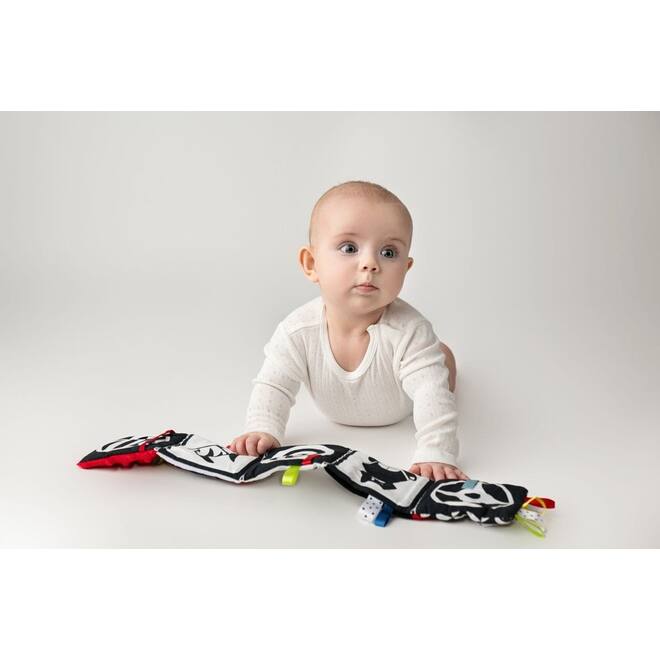 Soft baby toys - Soft book Red