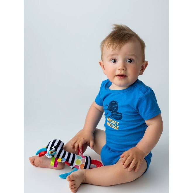 Soft baby toys - Squezze Giraffe