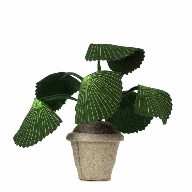 Plant van vilt, Pebbe