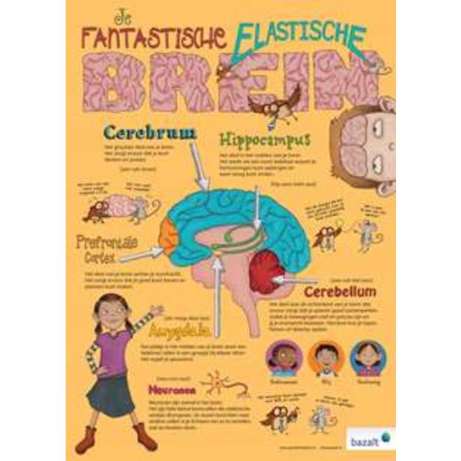 Poster Je Fantastische Elastische Brein (set van 5)