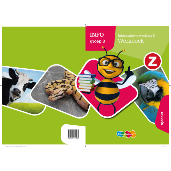 Z-Info groep 8 - Informatieverwerking B werkboek