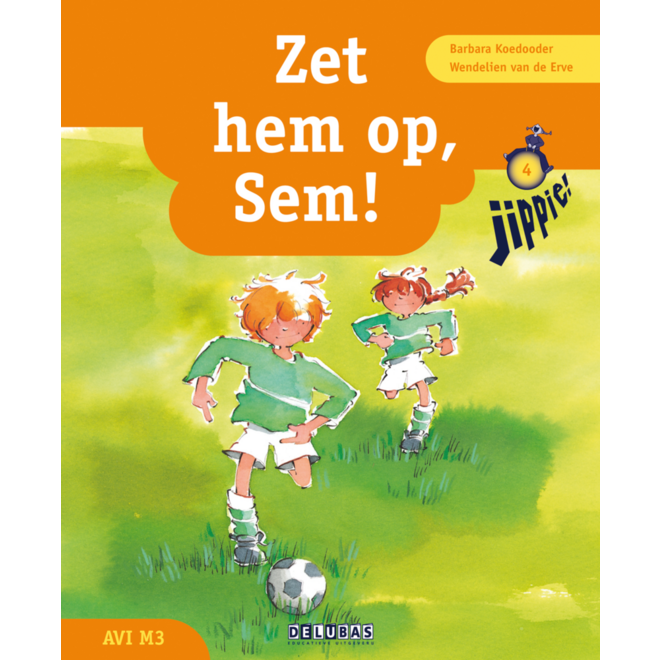 Jippie leesboek 4 - zet hem op - Sem! - avi M3