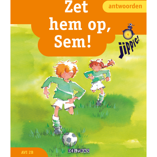 Jippie antwoorden 4 - zet hem op - Sem! - avi M3