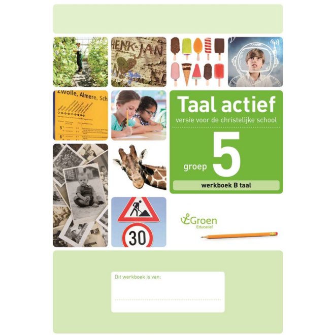 Taal actief 4 gr. 5 parallelversie werkboek B taal (5ex)