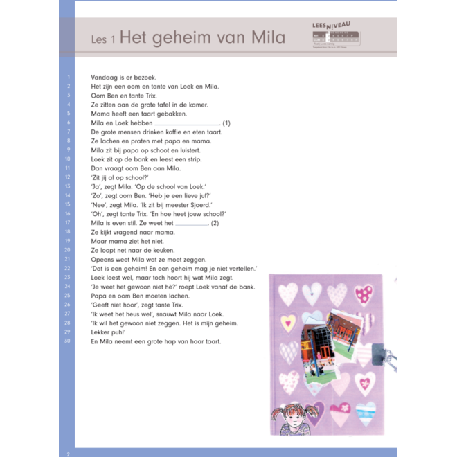 Blokboek Lees Aardig groep 4-5 (5 stuks)