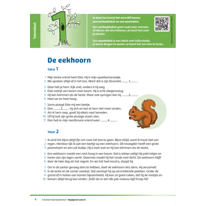 Kerndoeltrainer Begrijpend Lezen B (5 stuks)