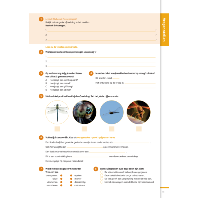 Kerndoeltrainer Begrijpend Lezen E (5 stuks)