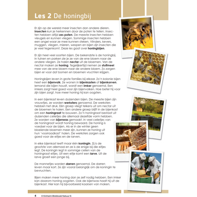 Blokboek natuur groep 6 (5 stuks)