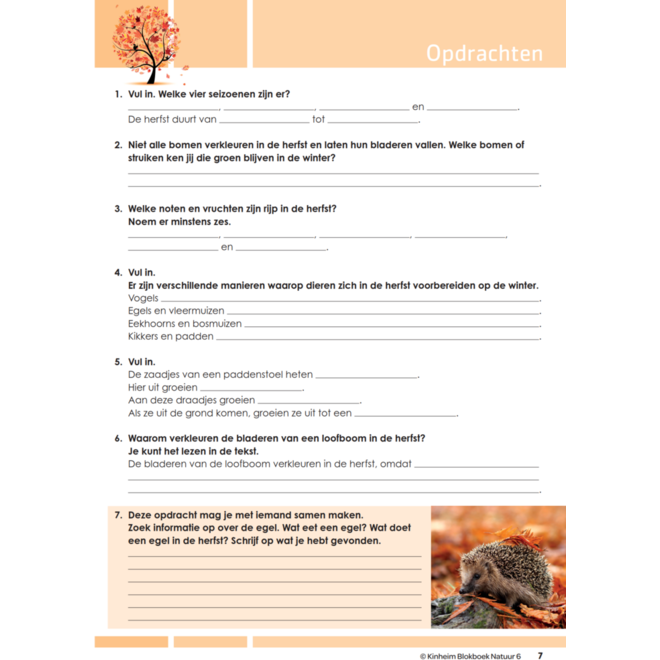 Blokboek natuur groep 6 (5 stuks)