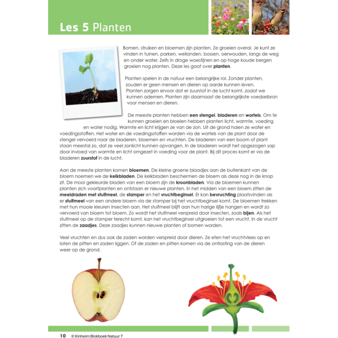Blokboek natuur groep 7 (5 stuks)