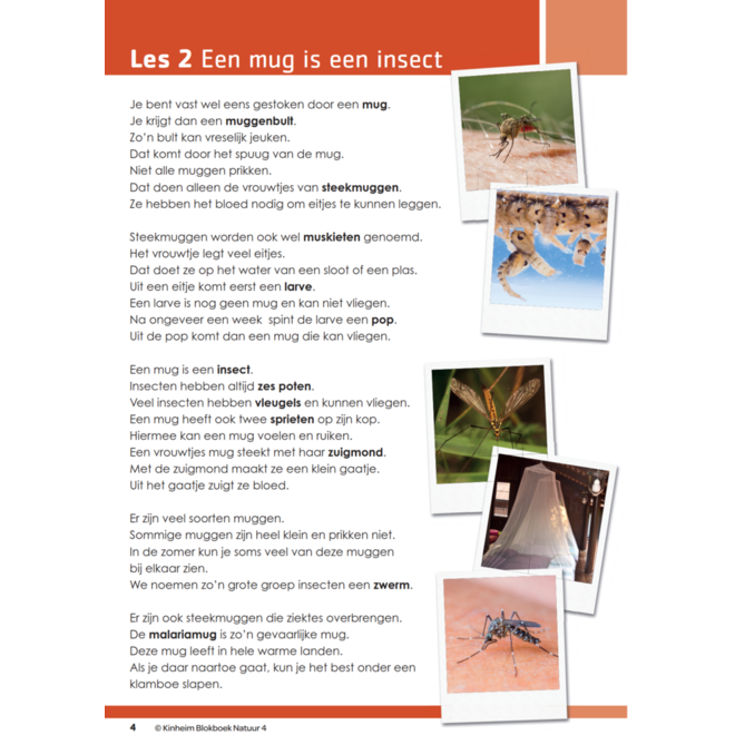 Blokboek natuur groep 4 (5 stuks)