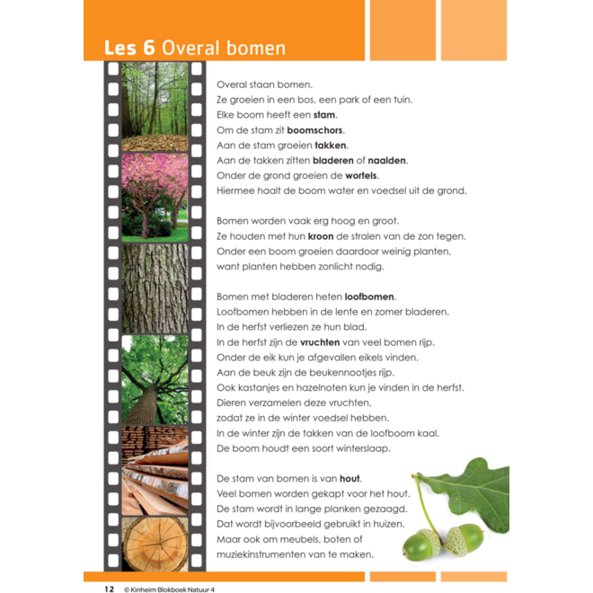 Blokboek natuur groep 4 (5 stuks)