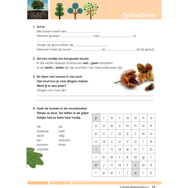 Blokboek natuur groep 4 (5 stuks)