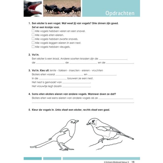 Blokboek natuur groep 4 (5 stuks)