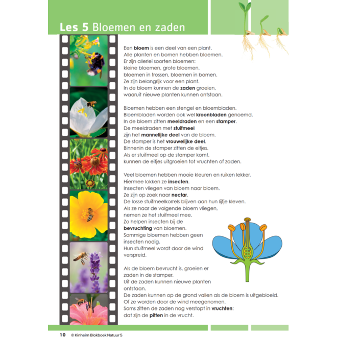 Blokboek natuur groep 5 (5 stuks)