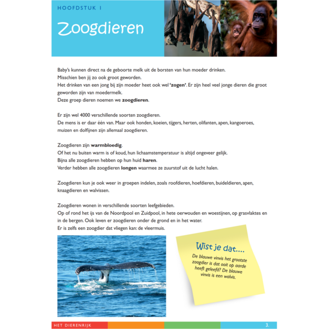 Dierenrijk werkgids (5 stuks)