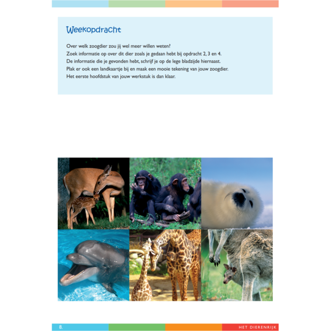 Dierenrijk werkgids (5 stuks)