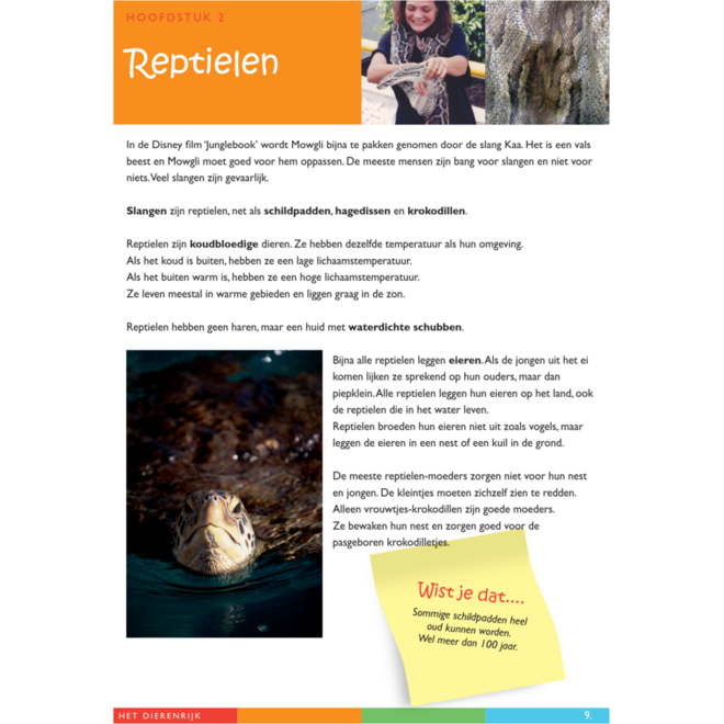 Dierenrijk werkgids (5 stuks)