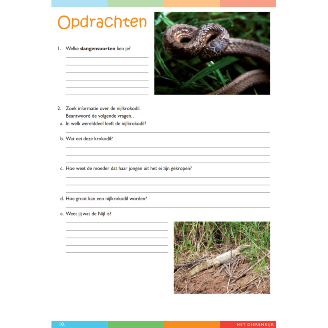 Dierenrijk werkgids (5 stuks)
