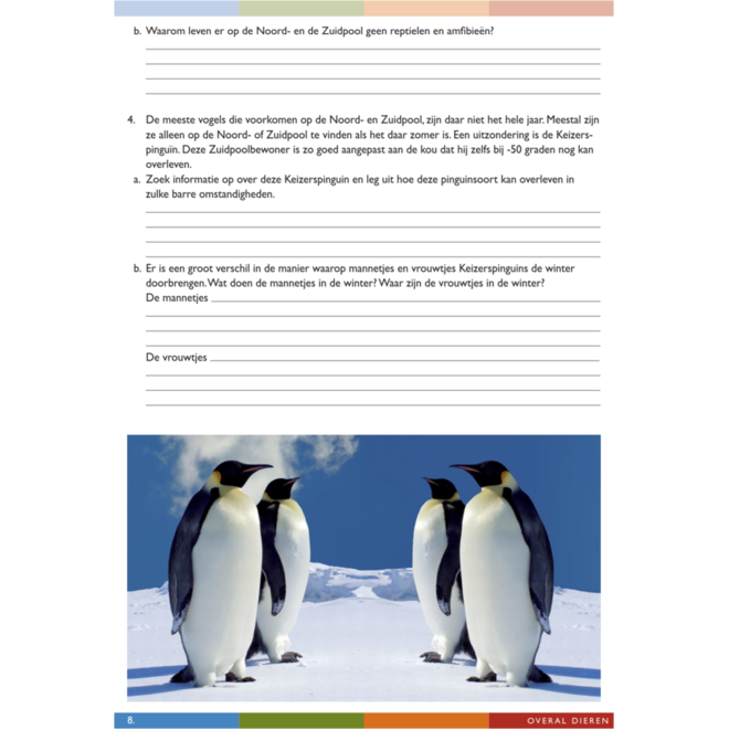 Overal dieren werkgids (5 stuks)