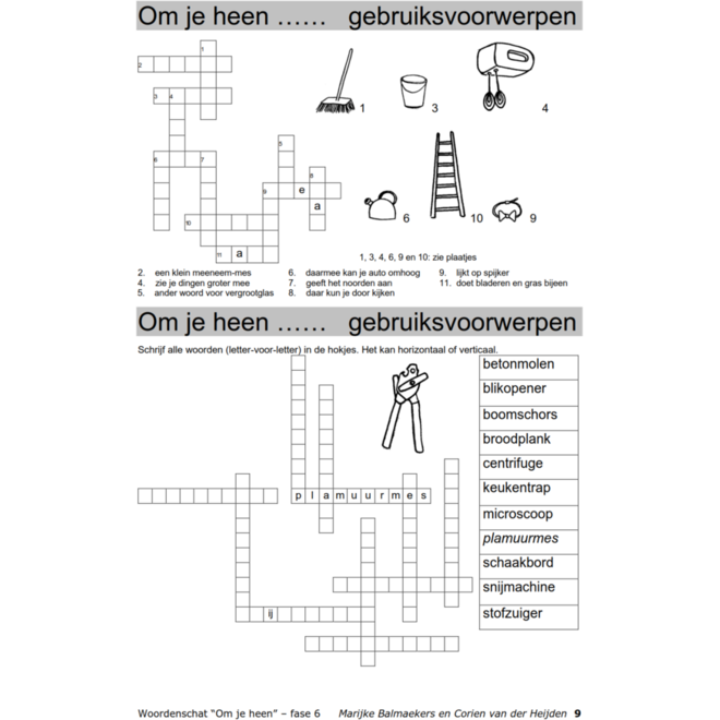 Woordenschat fase 6 (5 stuks)