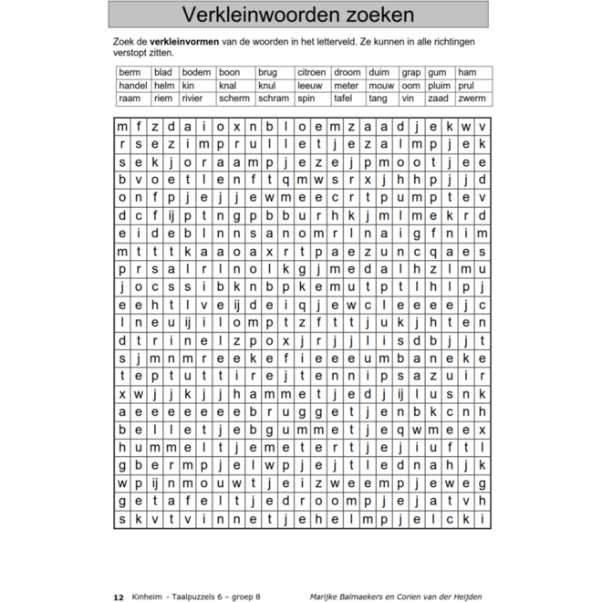 Taalpuzzels 6 groep 8 (5 stuks)