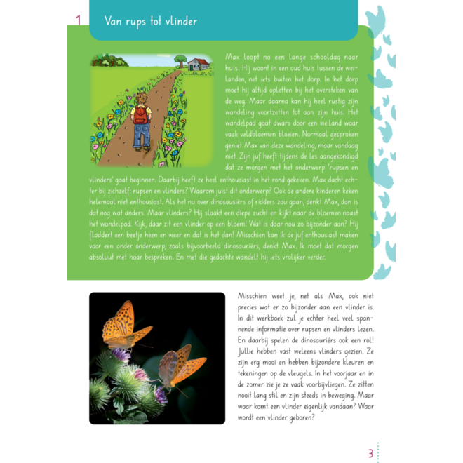 Max en de ongelofelijke reis van de vlinder groep 3-5 werkboek (5 stuks)