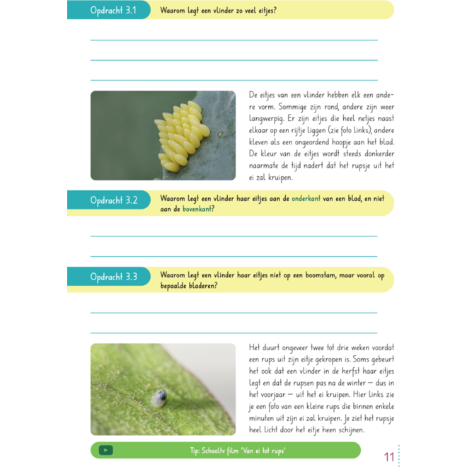 Max en de ongelofelijke reis van de vlinder groep 3-5 werkboek (5 stuks)
