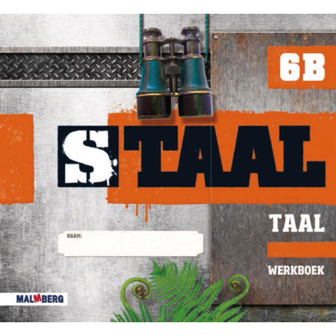 Staal taal groep 6 werkboek B (5 stuks)