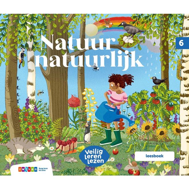 Veilig leren lezen Zoem leesboek 6