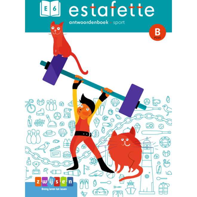 Estafette 3 antwoordenboek E6-B plus