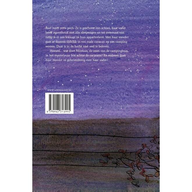 Het kleine heelal - Annejan Mieras