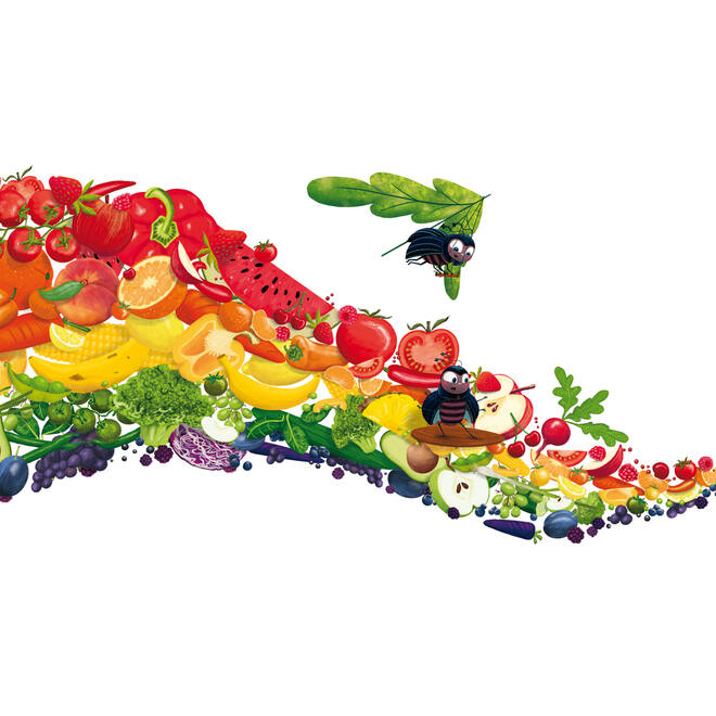 De regenboogdrol - Kamishibai vertelplaten