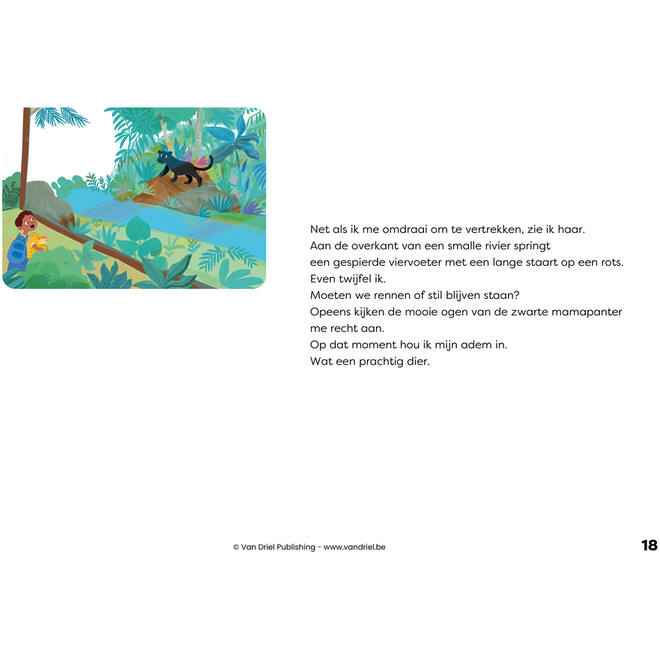 Ravi en de kleine panter - Kamishibai vertelplaten