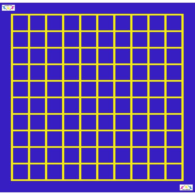 Dynamische schooldag Bewegend leren Mat 6 100-veld