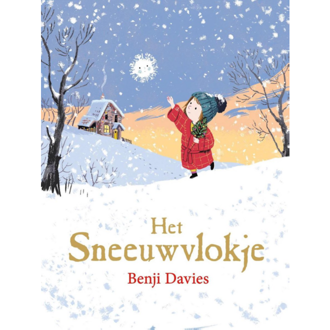 Het sneeuwvlokje - Benji Davies