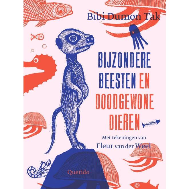 Bijzondere beesten en doodgewone dieren - Bibi Dumon Tak