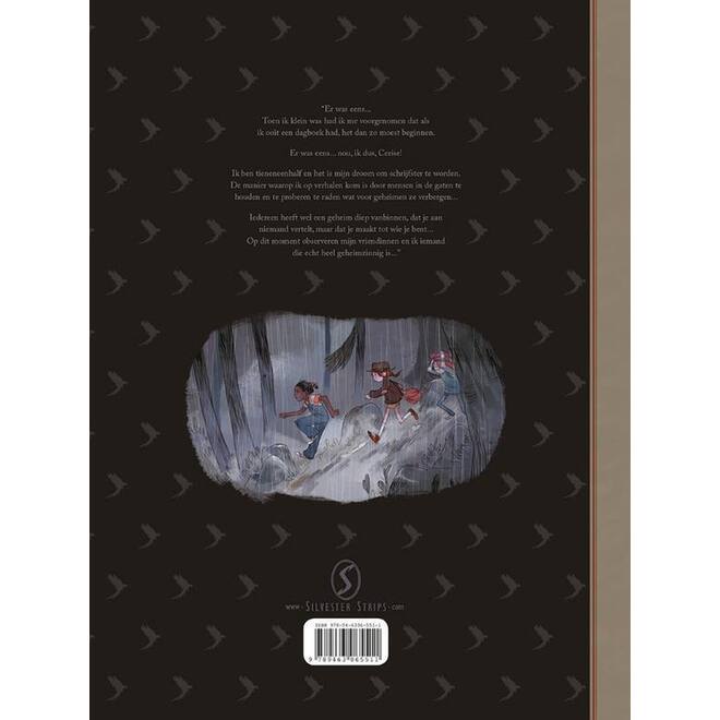 Het dagboek van Cerise: De stenen dierentuin - Joris Chamblain