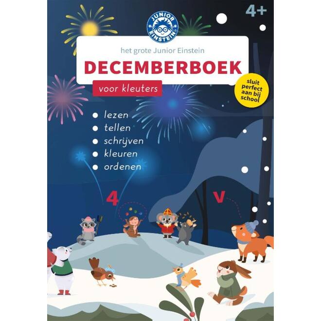 Het grote Junior Einstein Decemberboek voor kleuters
