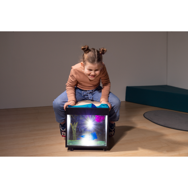 Projector