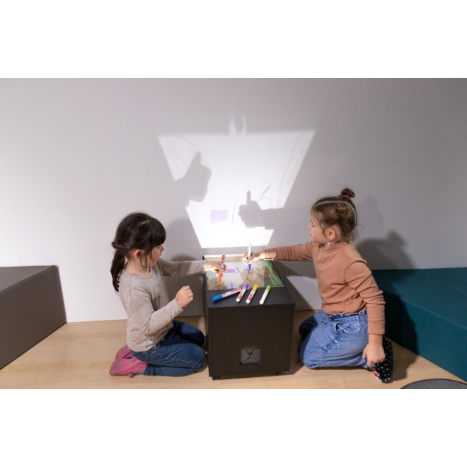 Projector