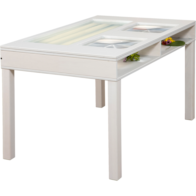 Ontdektafel binnen met 2 vergrootglazen en lichtbak B125xD75xH73 cm, (excl. Montage)