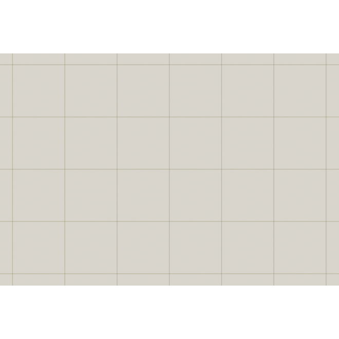 Flipoverblok 95,5 x 65 cm blanco/ruit, per 2 x 50 vel