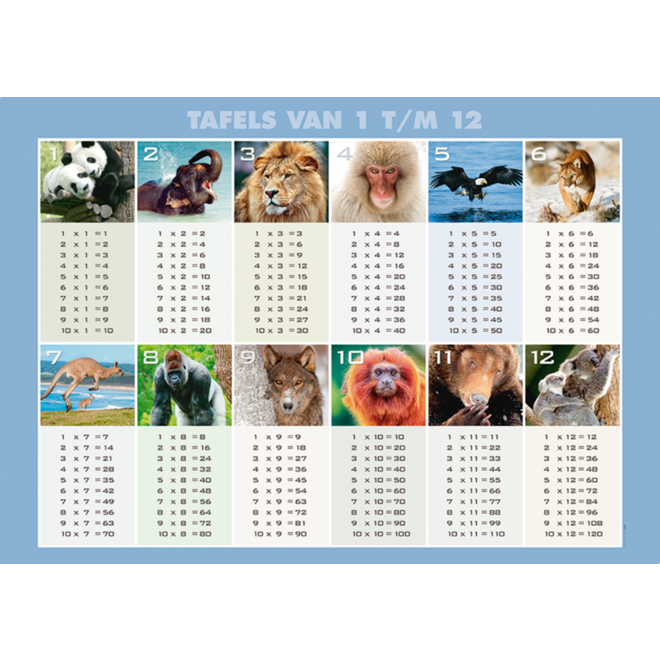 Tafelposter 1 t/m 12 A2, 3808