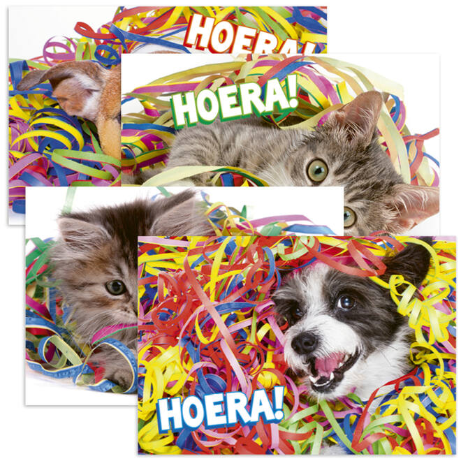 Miniposters 1048 confettidieren, 4 motieven, 20 stuks