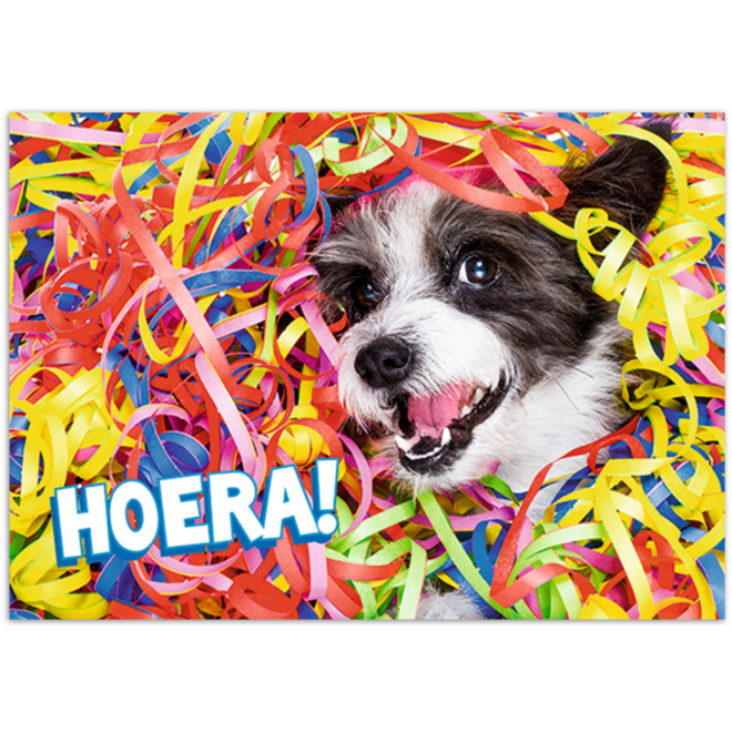 Miniposters 1048 confettidieren, 4 motieven, 20 stuks