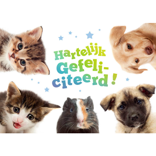 Miniposters 1049 dierenvrienden, 2 motieven, 20 stuks